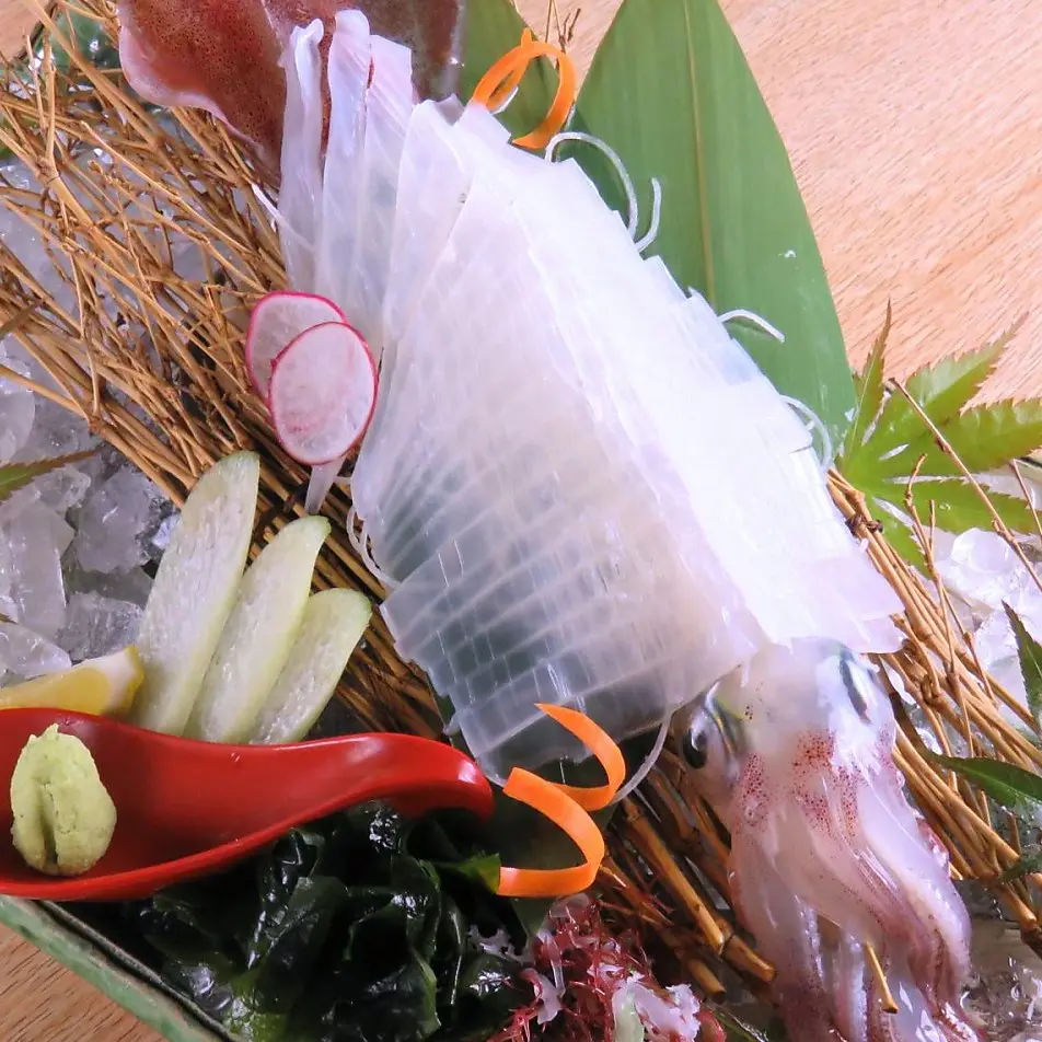 Live squid sashimi