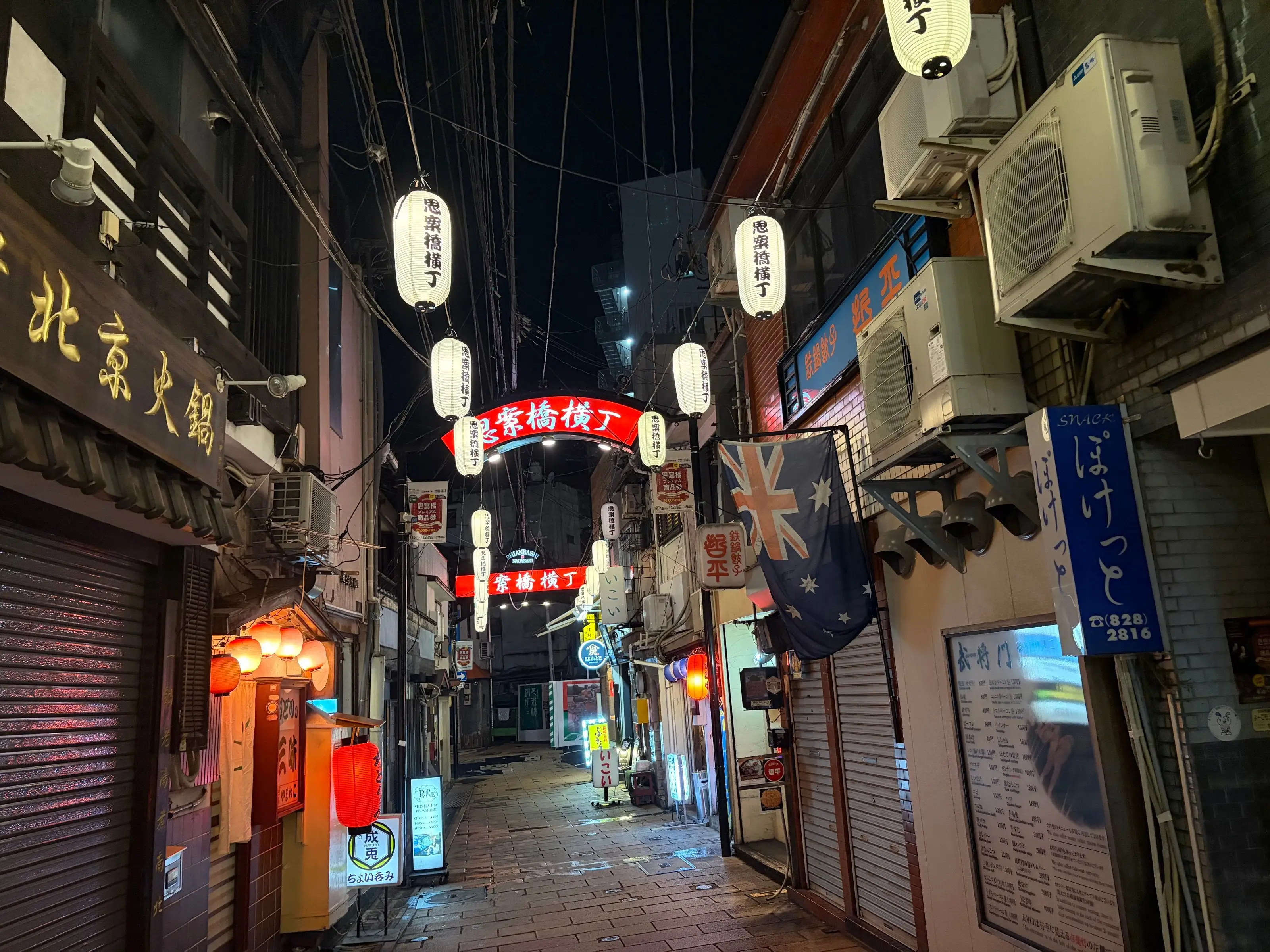 The alley at night: white Shianbashi Yokocho lanterns and red signs stretching into the distance